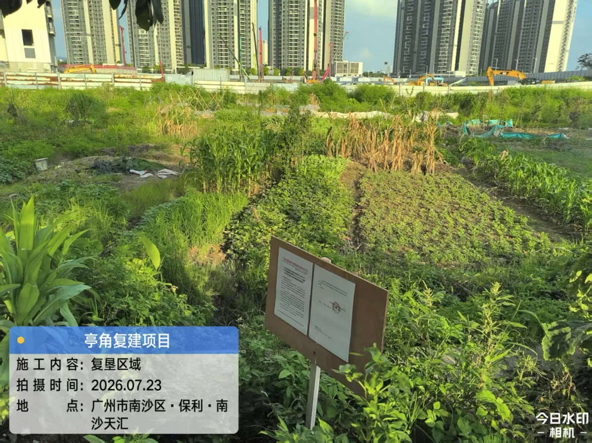 土地报批与复垦验收项目